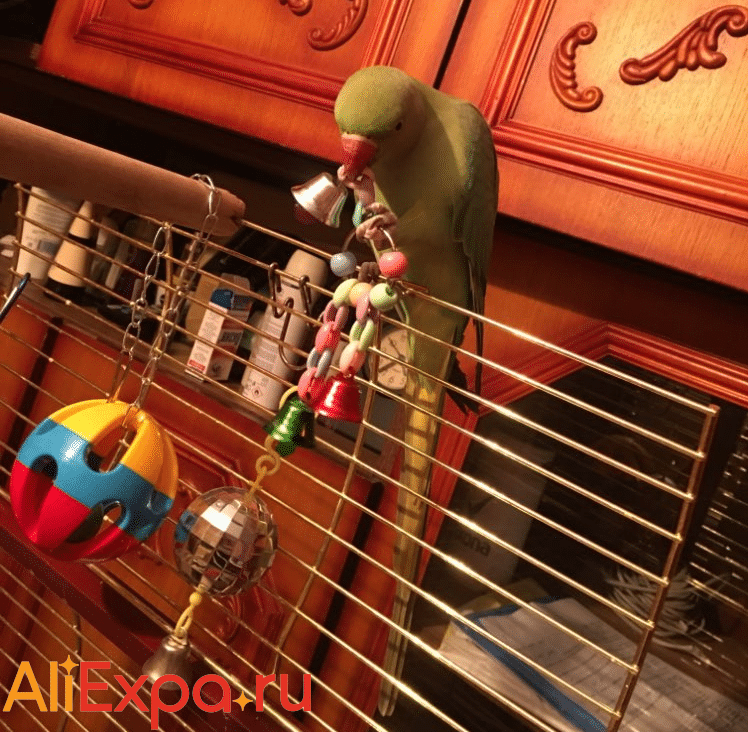 Игрушка с колокольчиками для попугая LAIMALA купить на Алиэкспресс